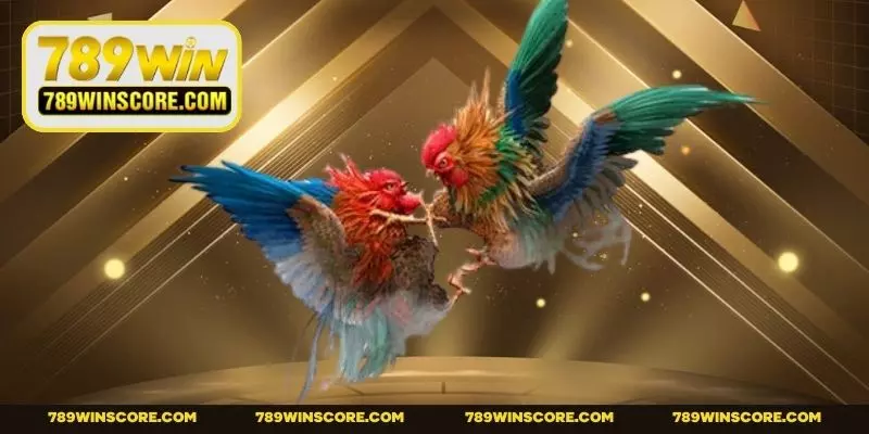 Cung cấp nhiều trận đấu kê liên tục trong ngày